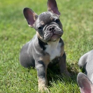 Meet your Posher, Christopher